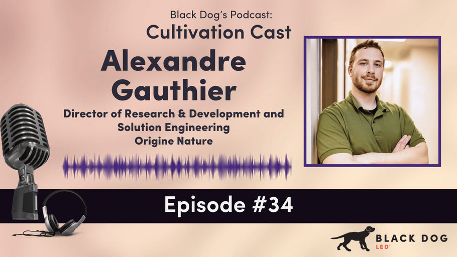 CultivationCast Episode 34: Alexandre Gauthier, Director of Research & Development and Solution Engineering at Origin Nature