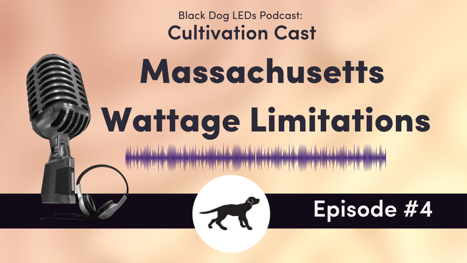 Massachusetts Wattage Limitations