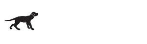 Black Dog LED