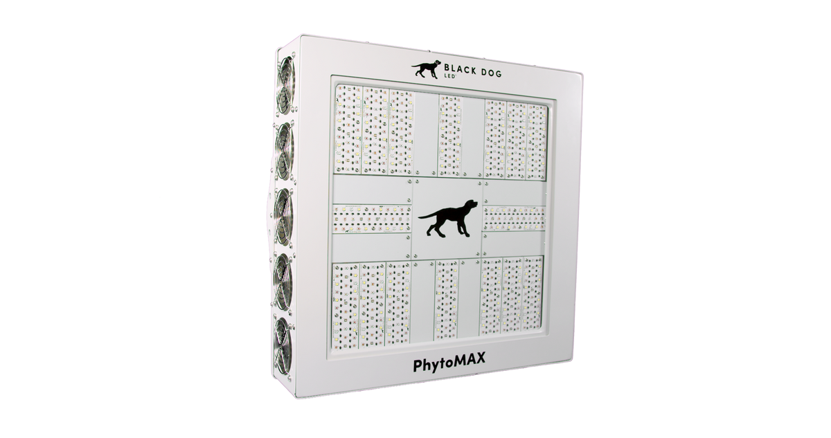 PhytoMAX-4 16S LED Grow Light – Black Dog LED PhytoMAX-4 16S LED Grow Light – Black Dog LED