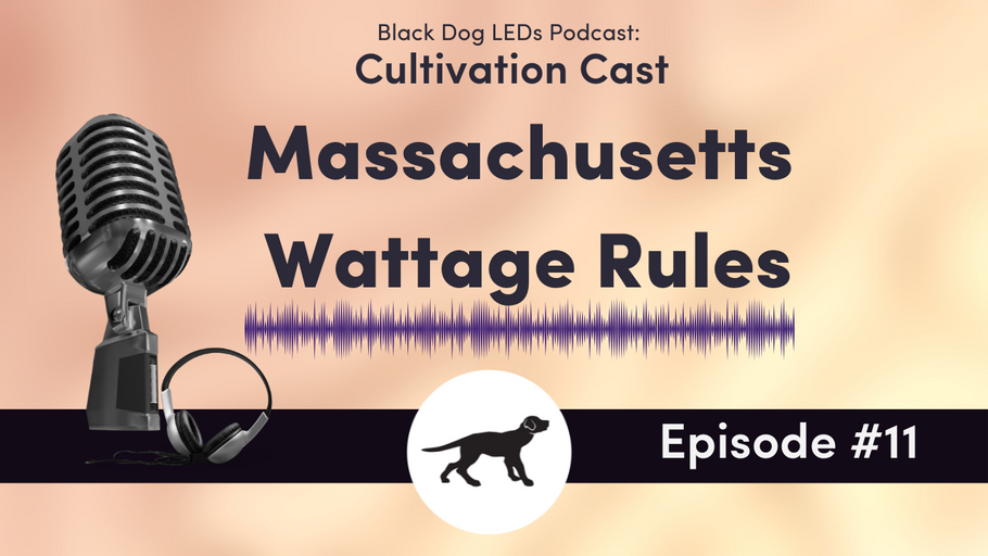 Massachusetts Wattage Rules