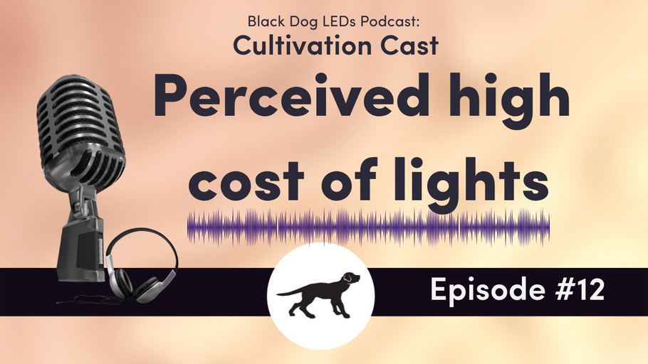 Perceived High Cost of Lights
