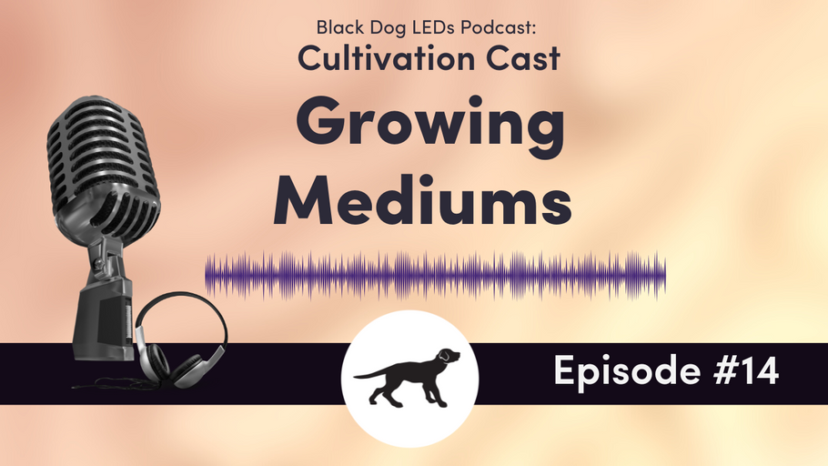 Grow Mediums