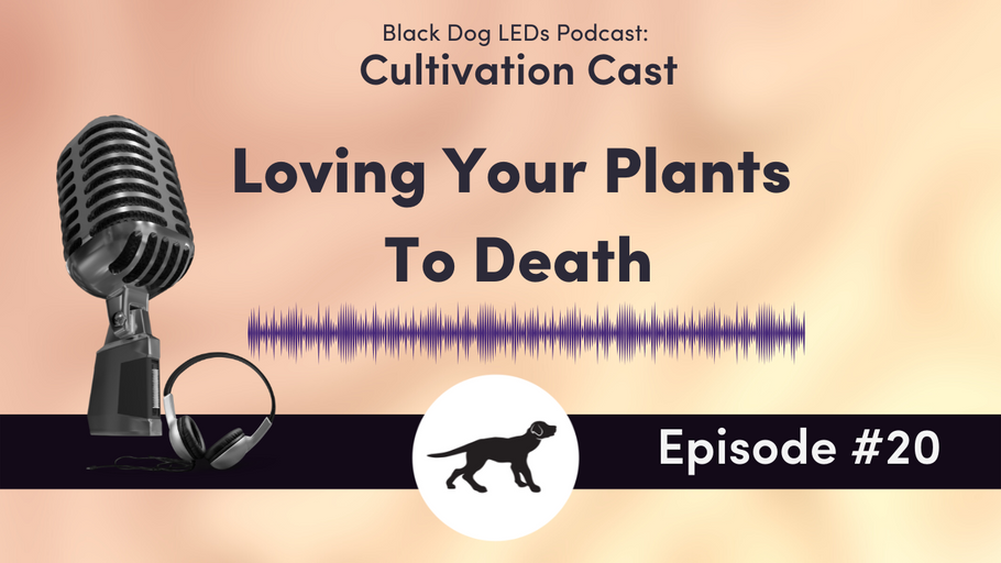 Loving Your Plants To Death