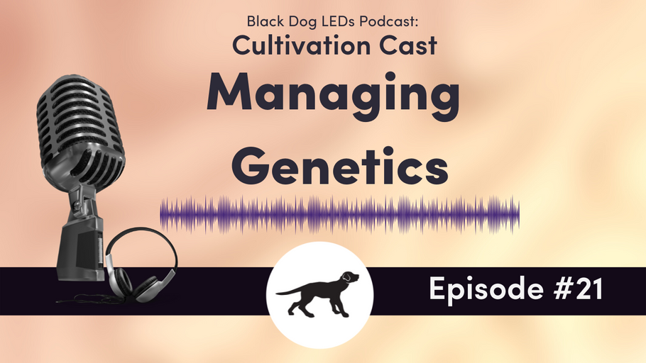 Managing Genetics