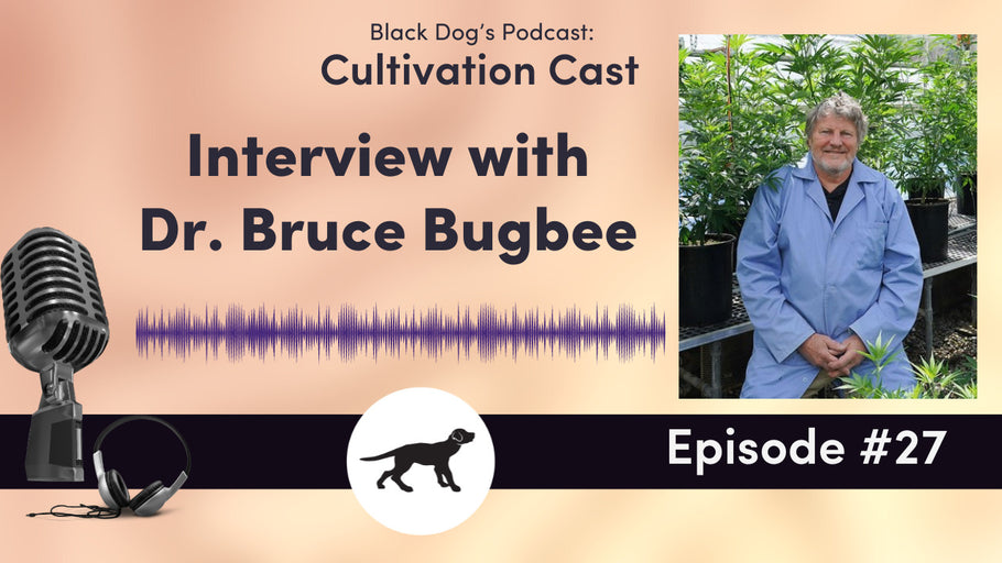 Interview with Dr. Bruce Bugbee