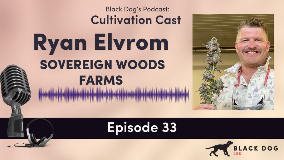 Interview with Ryan Elvrom of Sovereign Woods Farms: Growing with the ALIEN V-SYSTEM