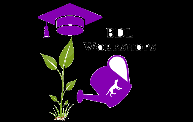 BDL Workshop #2: The 5 best practices for Pre-Flower