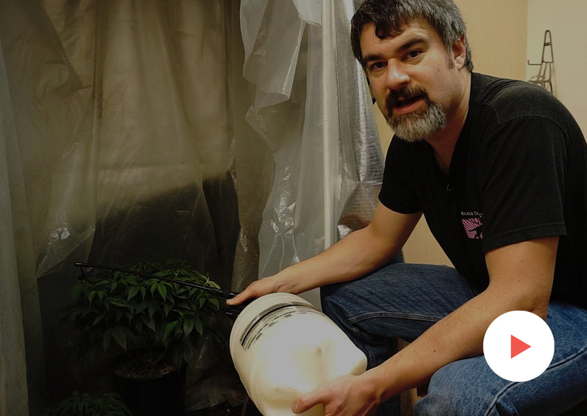 Growing How-To: Insect and Mite Control: Proper Plant Spraying for Pest Control