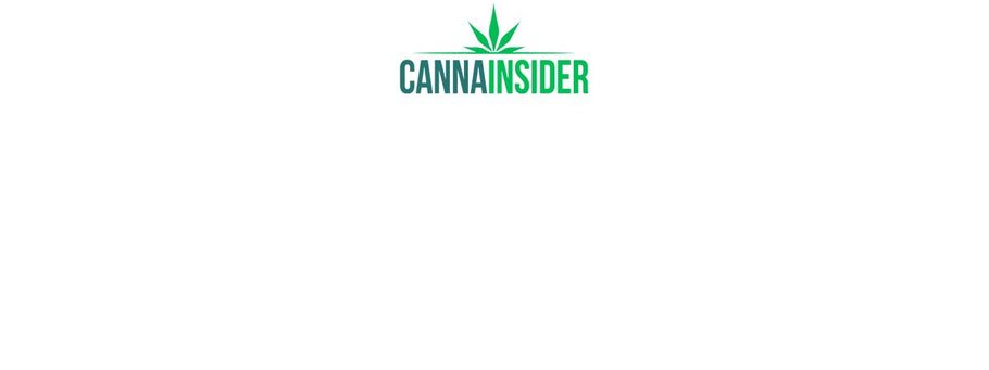 Black Dog LED Featured In CannaInsider Interview on Cannabis Genome Research