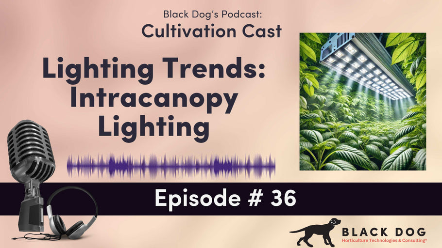 CultivationCast Episode 36: Intracanopy Lighting