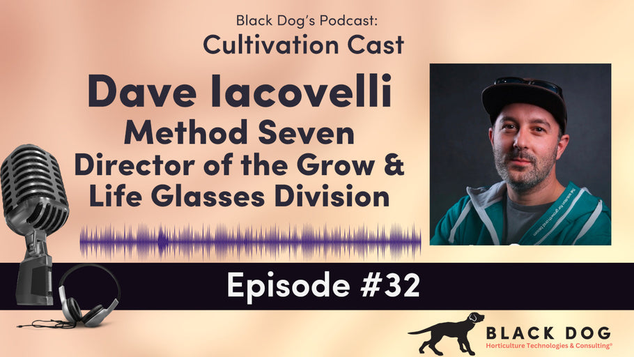 Interview with Dave Iacovelli from Method Seven