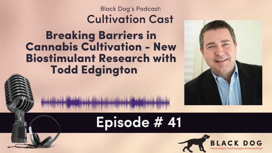 CultivationCast Episode 41: Breaking Barriers in Cannabis Cultivation - New Biostimulant with Todd Edgington