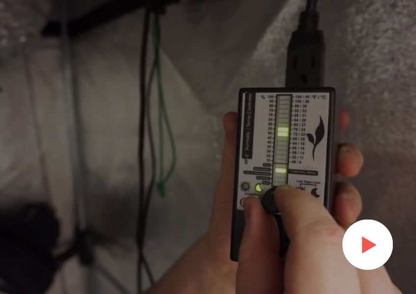 Grow-Along Series: Burmese Kush in a 3x3 Foot Tent: Setting the HT2 Controller and Fans for Drying