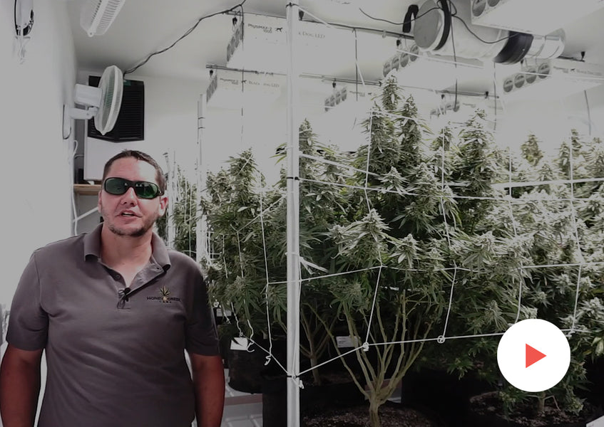 Customer Testimonials: Commercial Growers: Oklahoma Commercial Growers