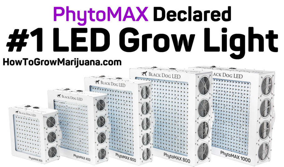 Black Dog LED Named Best LED Grow Light 2016!