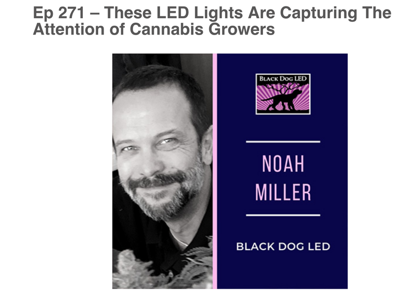 Black Dog LED's Noah Miller on Cannainsider