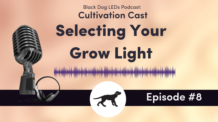 Selecting Your Grow Light