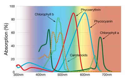 Photosynthetic Active Radiation (PAR)