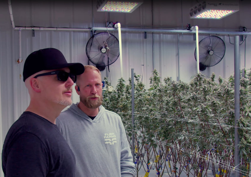 Interview With Flyer Farms, Using 3 Generations of PhytoMAX LED Lights!
