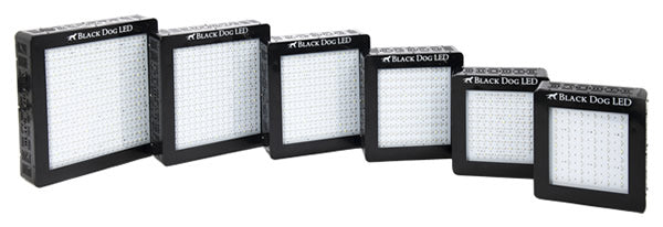 Black Dog LED Introduces New Universal Series of LED Plant Grow Lights