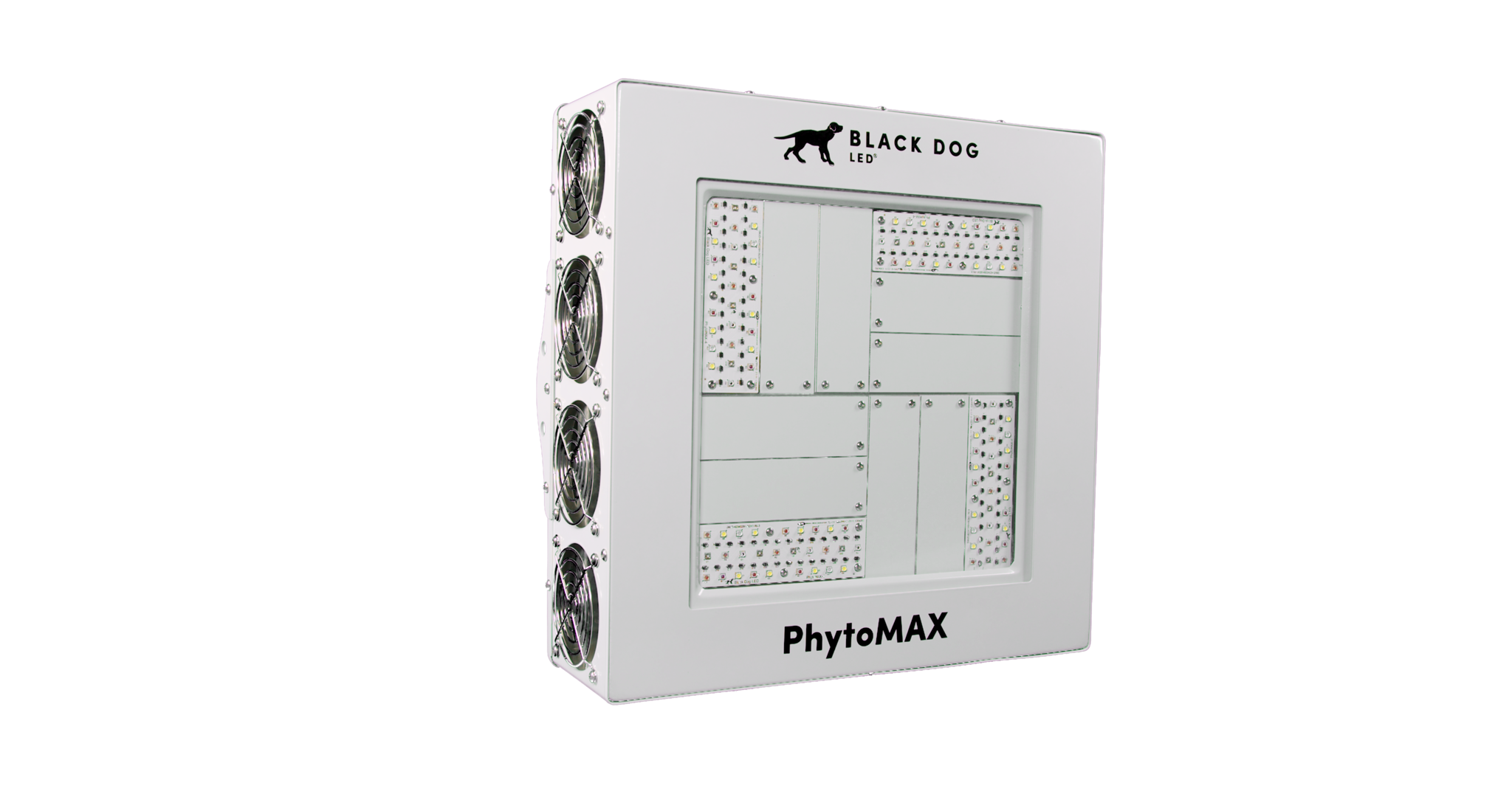 Black dog online led 1000