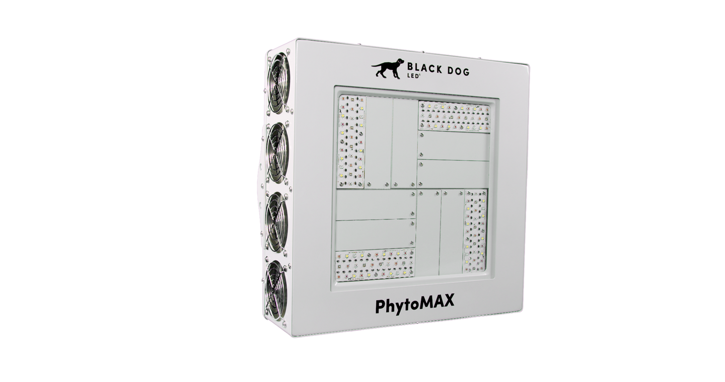 Black dog phytomax 2 1000 deals